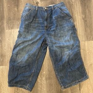 BDG Carpenter Jean